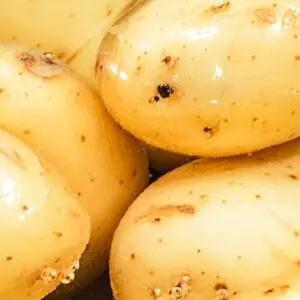 Salt Potato